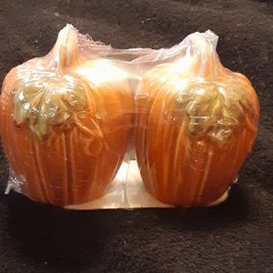 Fall pumpkin salt & pepper shakers NWT